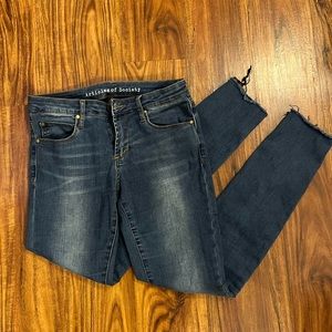 Articles of Society Skinny Jeans Size 26
